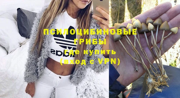дурь Инсар