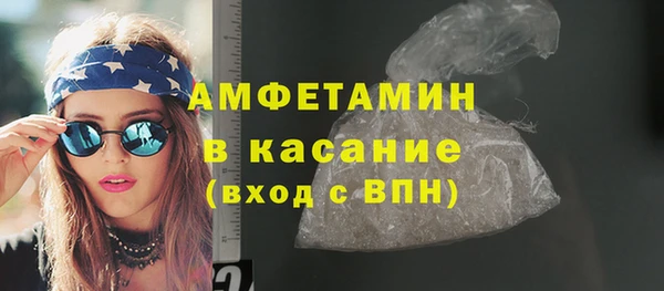 дурь Инсар