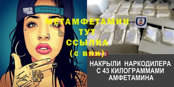 дурь Инсар