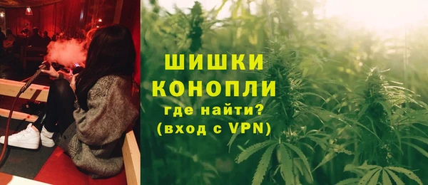 дурь Инсар