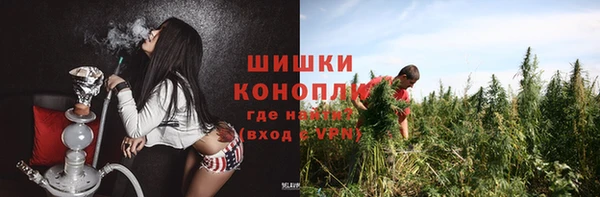 дурь Инсар
